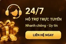 Hỗ trợ trực tuyến 24/7